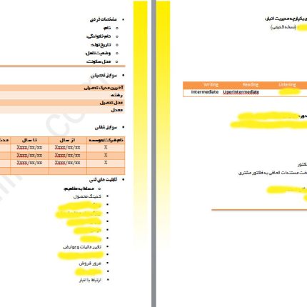رزومه اختصاصی کارشناس فروش