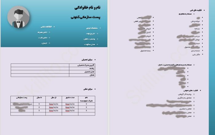 cv_distributionExpert
