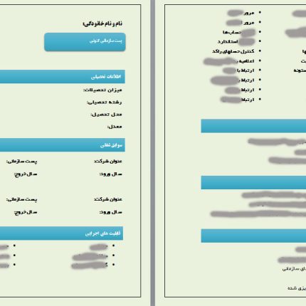 رزومه اختصاصی کارشناس حسابداری