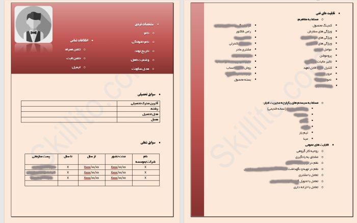CV_SaleExpert