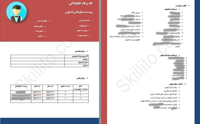 کارشناس ایمنی و بهداشت، سرپرست ایمنی و بهداشت، HSE- استایل HSE1
