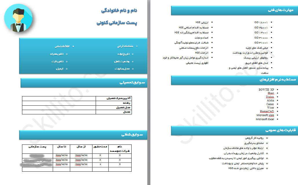 کارشناس ایمنی و بهداشت، سرپرست ایمنی و بهداشت، HSE- استایل HSE2