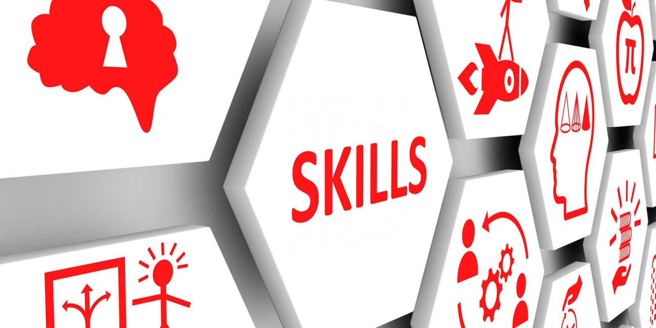 skills for it expert